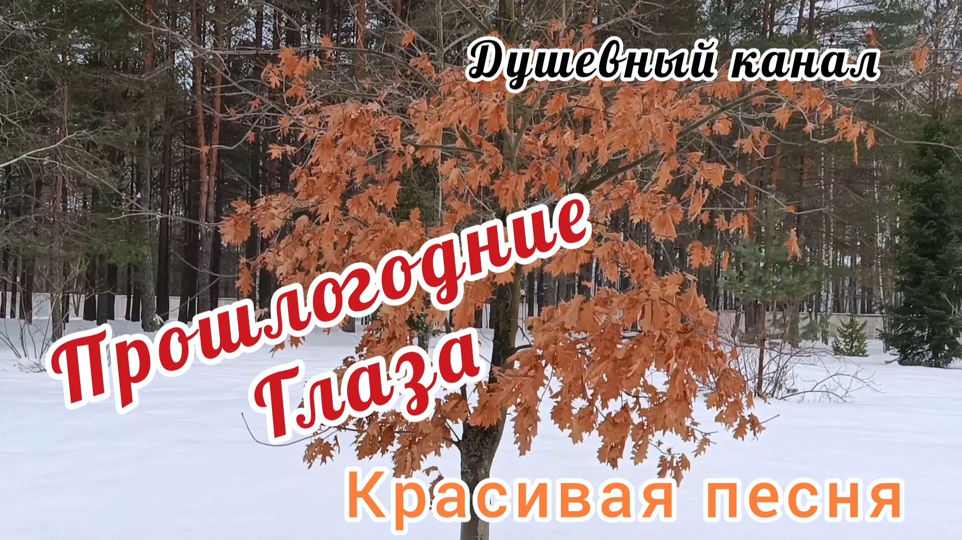 ПРОШЛОГОДНИЕ ГЛАЗА / КРАСИВАЯ ПЕСНЯ