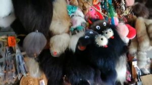 Путешествуем по Алтаю