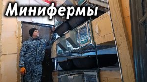 Минифермы для кроликов
