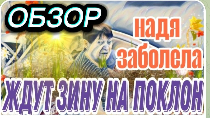 САМВЕЛ АДАМЯН, ОБЗОР ОТ АЛЕНЫ ("ЛЕСНОЕ ЭХО"), НАВЕЛ МАМКУ НА НУЖНЫЙ РАЗГОВОР, НАДЯ ЧАХНЕТ.. смотреть онлайн