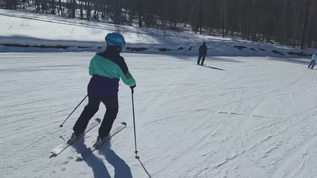 Горные лыжи