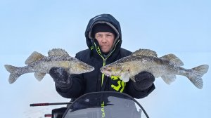 Покатушки на снегоходе тайга патруль 800 SWT