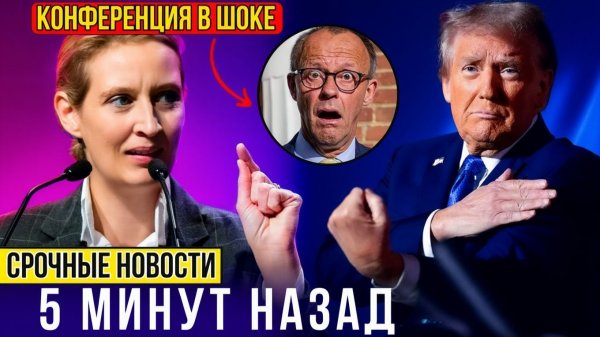 Алис Вайдель РАЗНЕСЛА Фридриха Мерца на Мюнхенской конференции по безопасности!