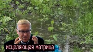 Матрица Гаряева для Сна и Отдыха 100 сон гарантирован