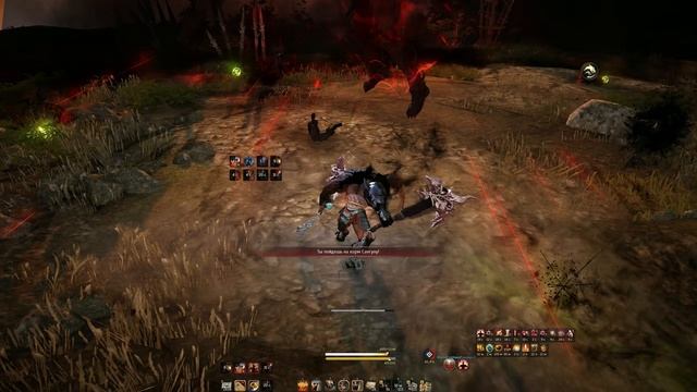 бдо варвар чх соло главный тигриный слуга8