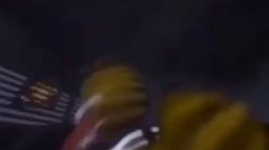 Чика флексит