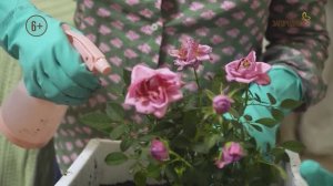 Звезда дома. Анонс. Канал Загородный