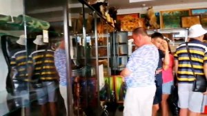 Соль-Илецк. "Черный дельфин "