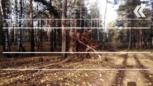 часа до смерти ЧАСТЬ 95