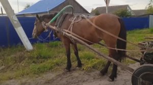 «Илкәем» (Родина) - татарская народная песня - поёт Саида Мухаметзянова