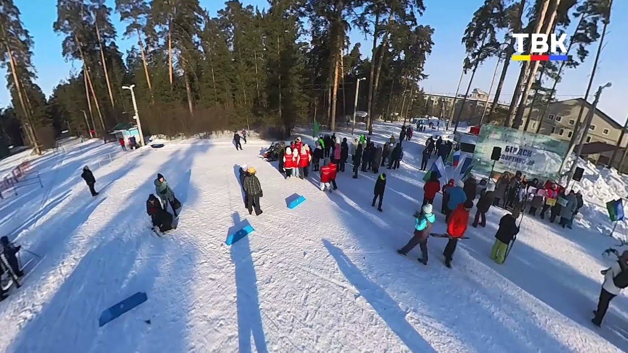 В Бердске прошли всероссийские соревнования «Лыжня России – 2026» смотреть онлайн