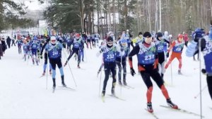 Лыжная гонка 30км, камский лыжный марафон