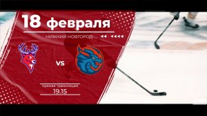 Матч КХЛ "Торпедо" - "Драконы": следите за игрой на телеканале "Нижний Новгород 24" и на "Маяке"