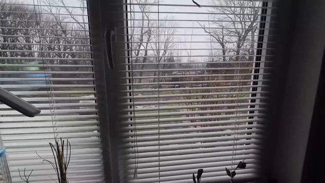 14,15 февраля 2026г.Продолжаю рассаживать цветы. Первая съ смотреть онлайн