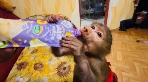 Степка сидя на полу увидел на столе СВОЮ ПЮРЕШЕЧКУ и рванул ее доставать)))