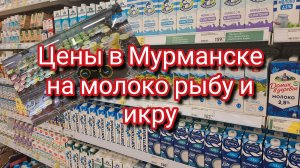 Прогулка по зимнему Мурманску и цены в магазинах