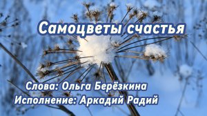 Самоцветы счастья (песня под гитару)
