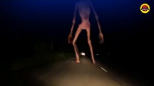 сиреноголовый топ 5 снятых на камеру