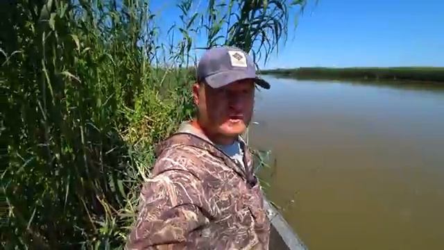 РЫБАЛКА НА ЛЯГУШКУ, ЧЕРВЯ И ЖМЫХ. СОМ И САЗАН, ОБВЕЛИ ВОКРУГ ПАЛЬЦА. смотреть онлайн