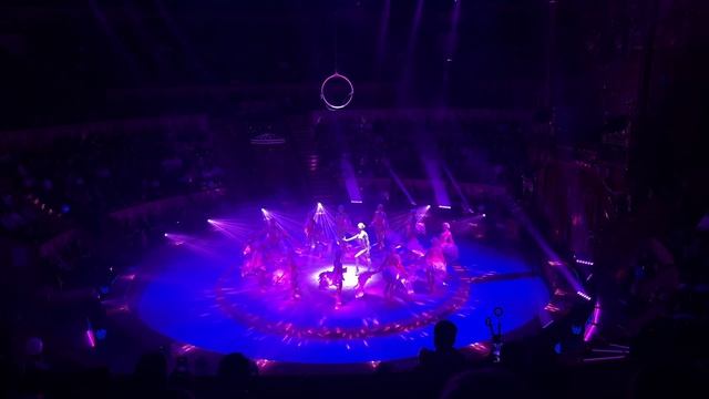 Цирк 1 часть пресс конференция и часть  шоу программы  .