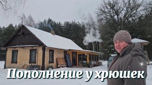 Миша и Валя. Пополнение у хрюшек. Свинки встречают кабанчика