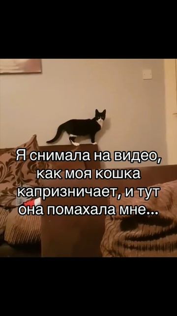 . смотреть онлайн