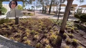 Прогулка у Моря в Сириусе в Феврале 2026 🏖️