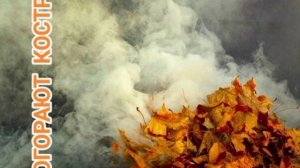 "ДОГОРАЮТ КОСТРЫ", стихи Александра Домбровского