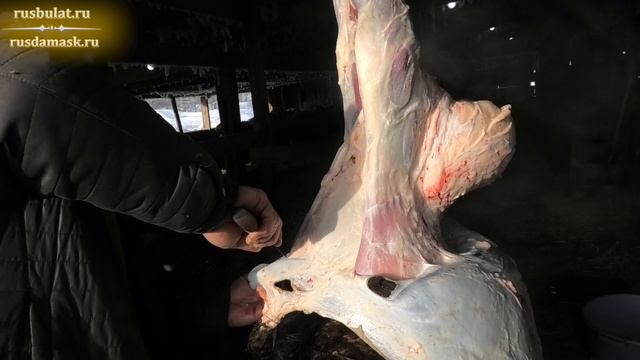 Тест ножа Браконьер на ошкуривании барана смотреть онлайн