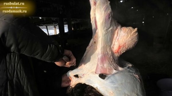 Тест ножа Браконьер на ошкуривании барана