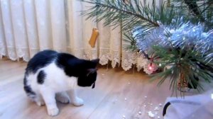 ЁЛКА, ПЕЧЕНЬКА И КОТ 😹🎄