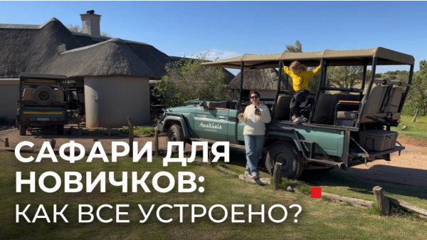 Сафари для новичков: как все устроено
