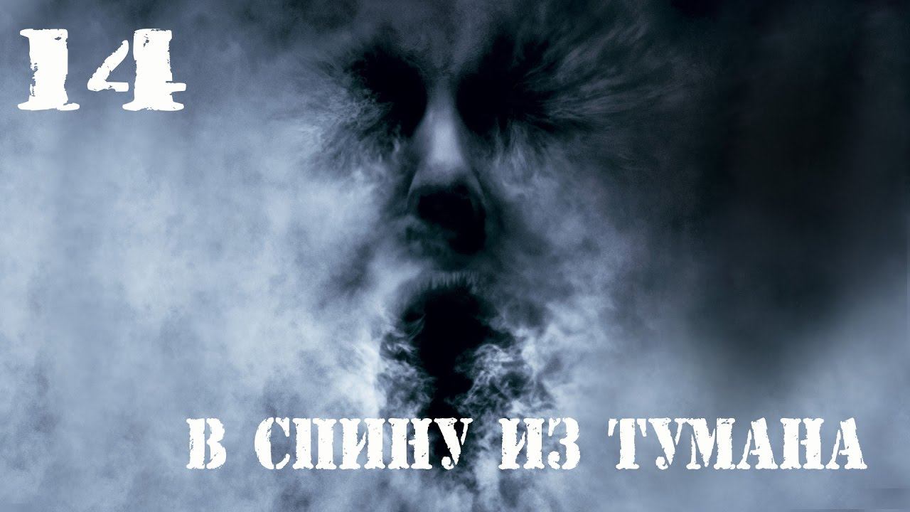 Dark souls 2 SOTFS прохождение #14►Ежик в тумане►Где мои Лёвы?►Full HD 60 FPS
