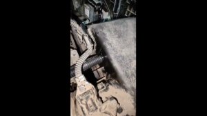 Водородный генератор для экономии топлива на автомобиле 4