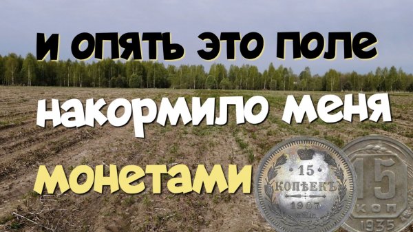 И ОПЯТЬ ЭТО ПОЛЕ НАКОРМИЛО МЕНЯ МОНЕТАМИ. ПОИСК СТАРИНЫ С ЭКВИНОКС 800.