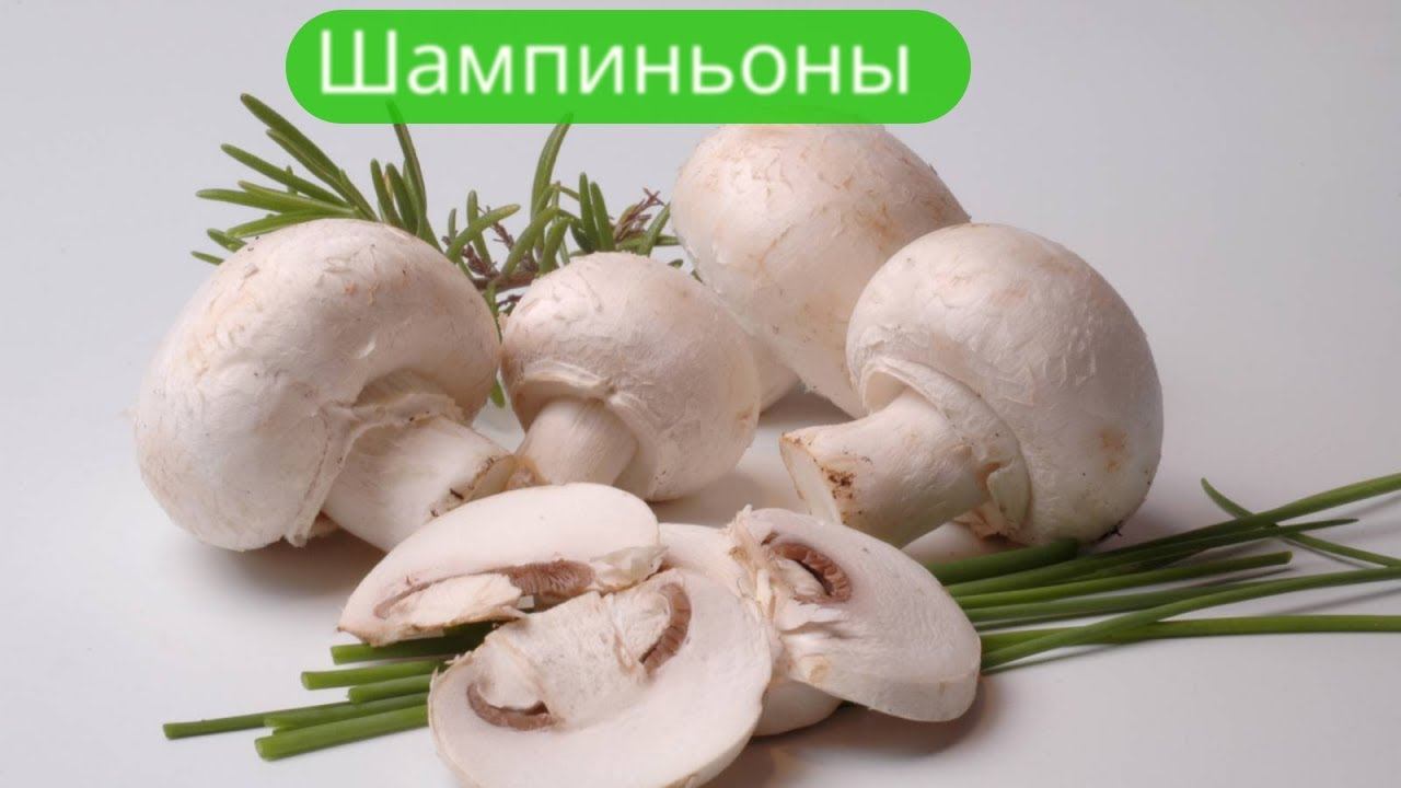 ✔Грибалка30.06.2022. Шампиньоны✔