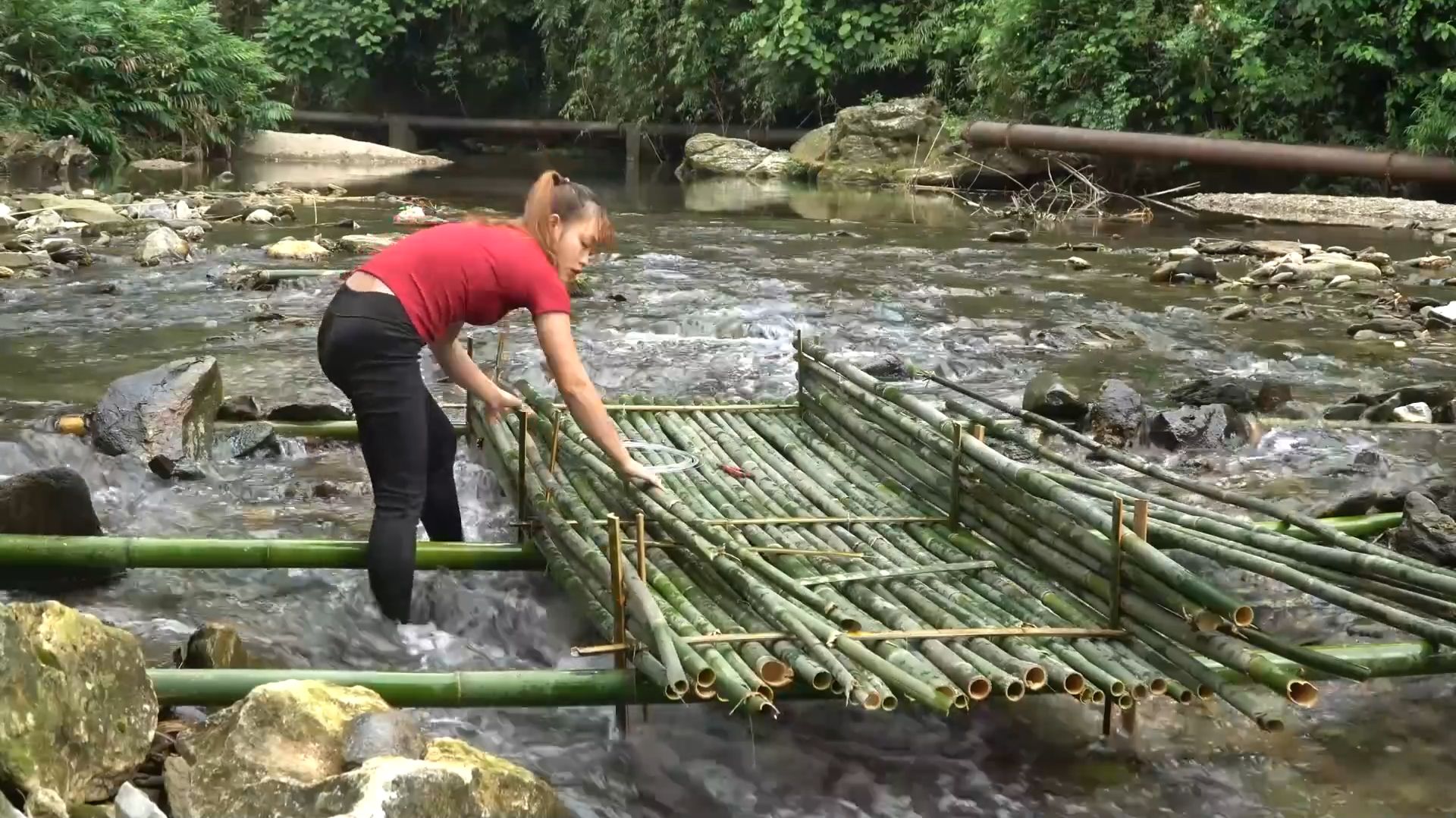 Экзотические методы ловли рыбы для продажи на рынке. Жизнь во Вьетнаме смотреть онлайн