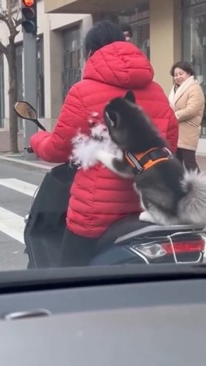 Топ Развлекательный в Контакте Заходи к Нам ссылка в описании под роликом #приколы #юмор #прикол #см