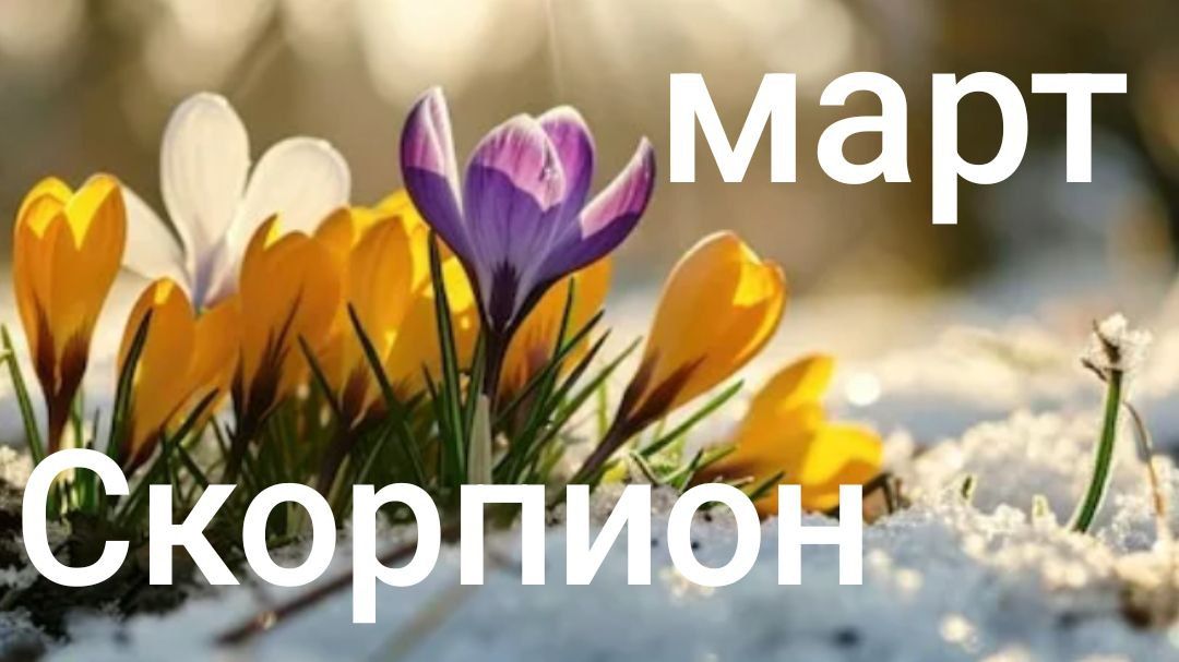 Таро расклад для Скорпионов на март 2026 года смотреть онлайн