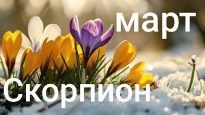 Таро расклад для Скорпионов на март 2026 года