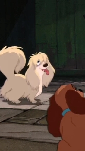 Песня про Бродягу