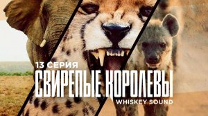 Свирепые королевы (13 серия) | Fierce Queens | Дубляж Whiskey Sound