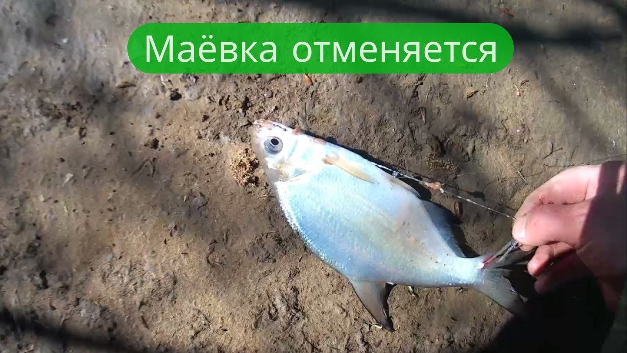 ✔Рыбалка  2 мая 2022 г Мир, труд, май наливай, подсекай ✔