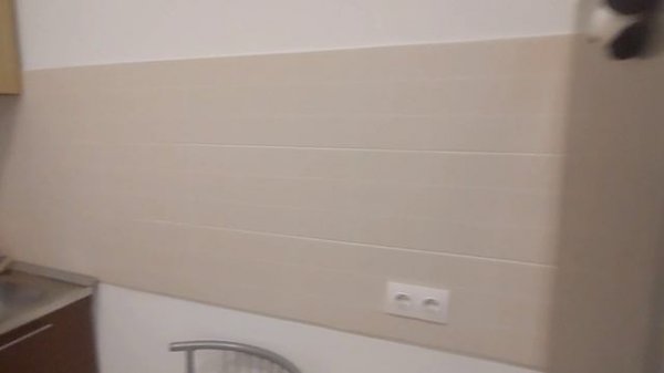 31cc7275-0f34-4773-b6bf-3531cd5a8017-1_all_46939.mp4