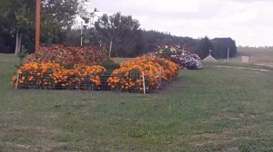 ВЕТРЕНАЯ МЕЛЬНИЦА