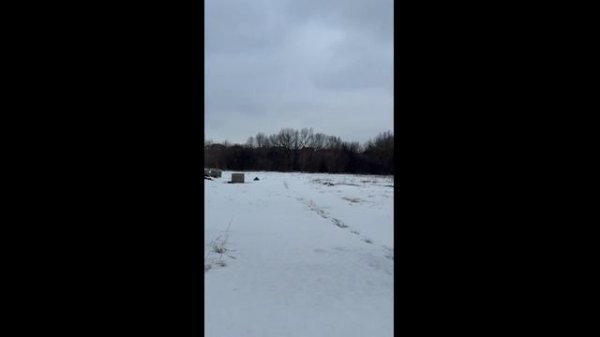 14 (online-video-cutter.com)