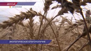 Дмитрий Патрушев оценил, как работает в Нижегородской области сфера обращения с ТКО