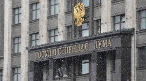 В Госдуме раскрыли детали визита российских депутатов в США