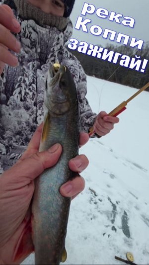 #Река_Коппи,Зажигай!