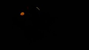 Снова свариваем переходы на теплотрассу!